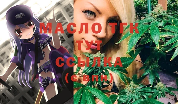 молекула духа Бородино