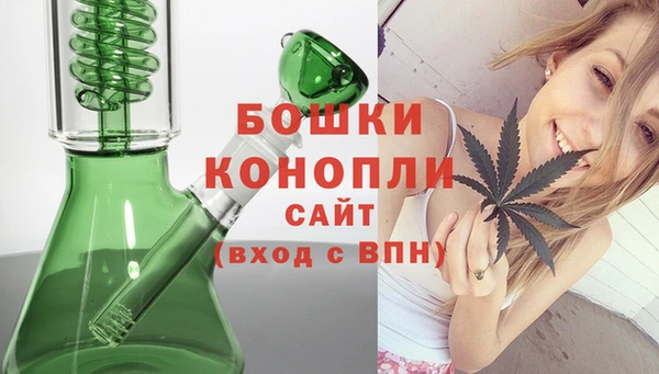 молекула духа Бородино
