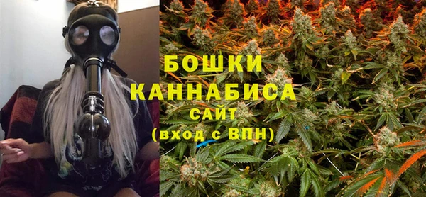молекула духа Бородино